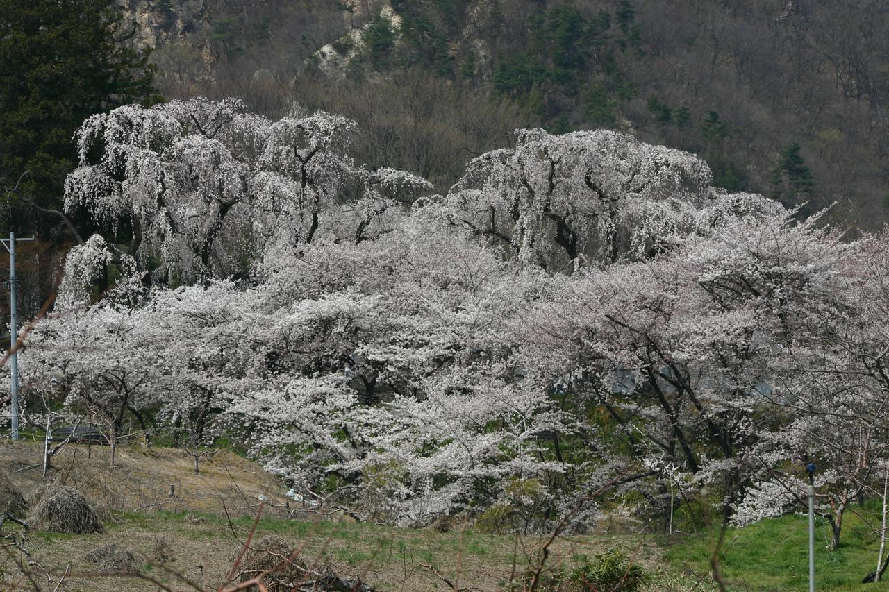 Shosenkaku Nagano Exterior foto